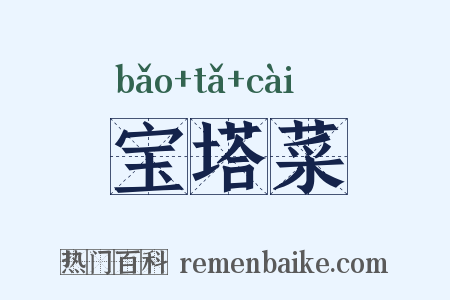 宝塔菜是什么意思的图片